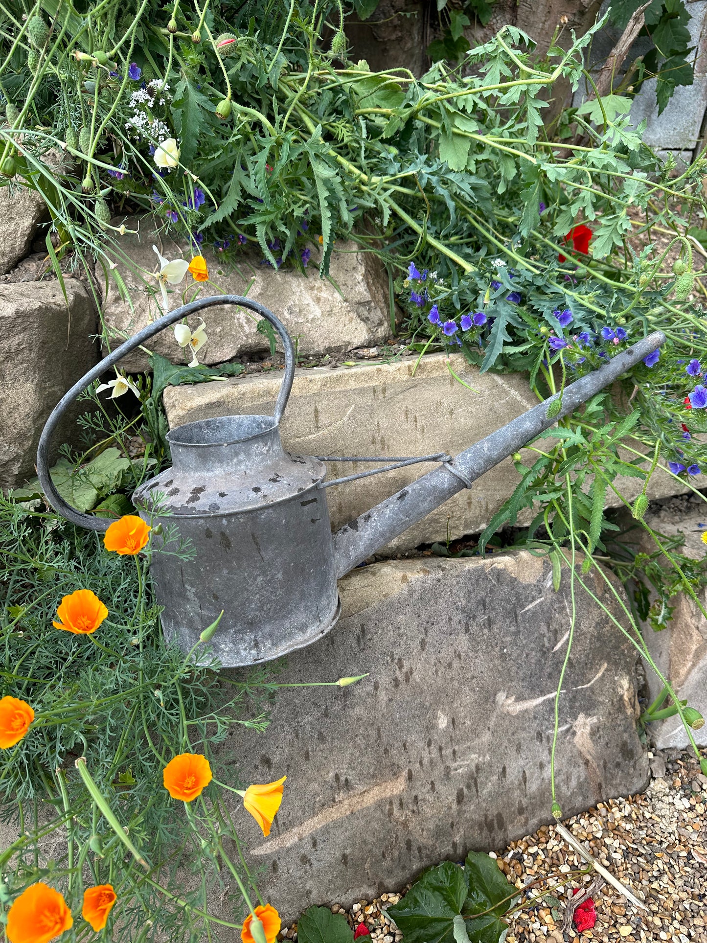 Galvanised Watering Can. This one gallon vintage can is ideal for indoor use with the long slender spout and modern rustic timeless feel.