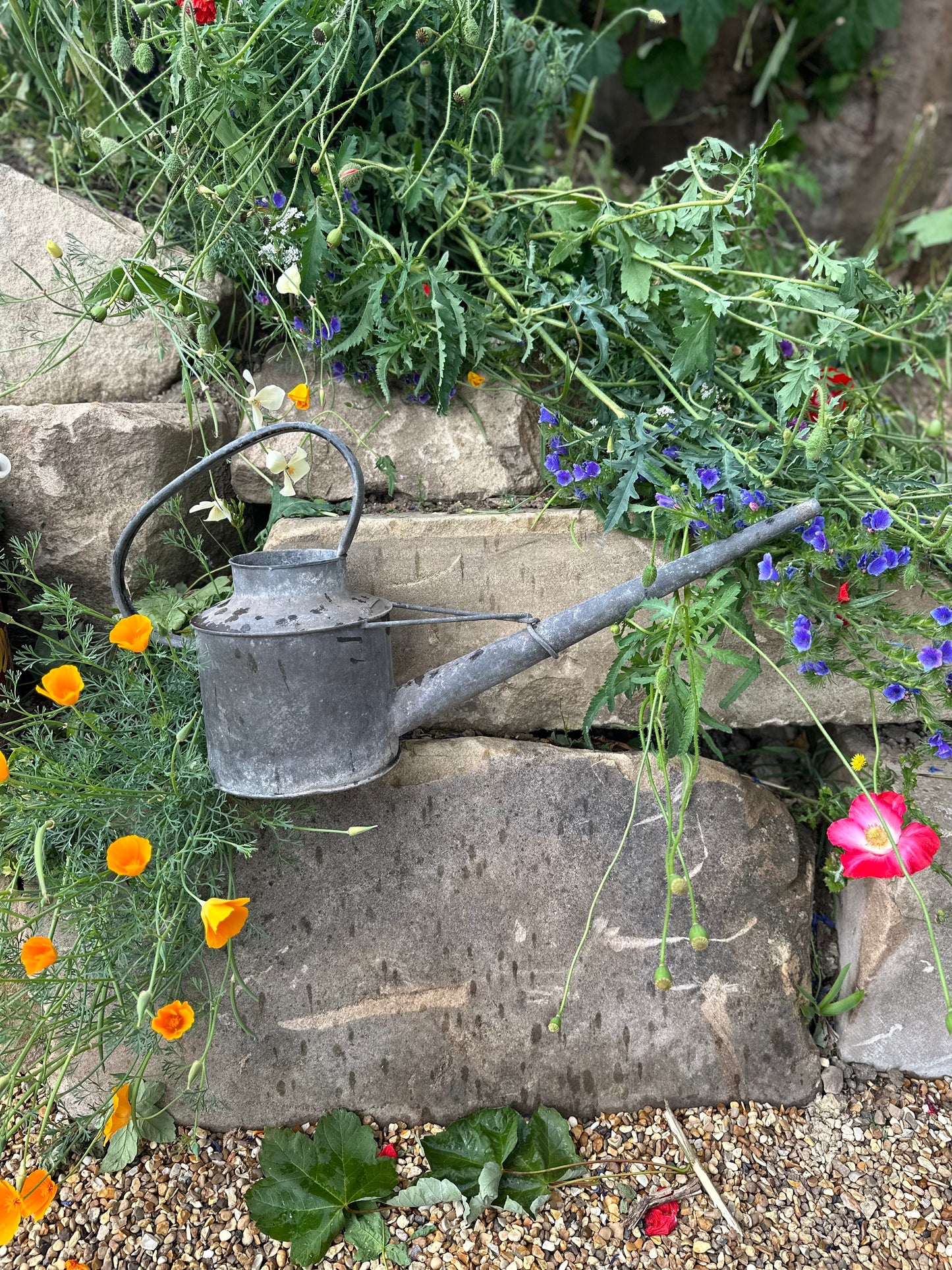 Galvanised Watering Can. This one gallon vintage can is ideal for indoor use with the long slender spout and modern rustic timeless feel.
